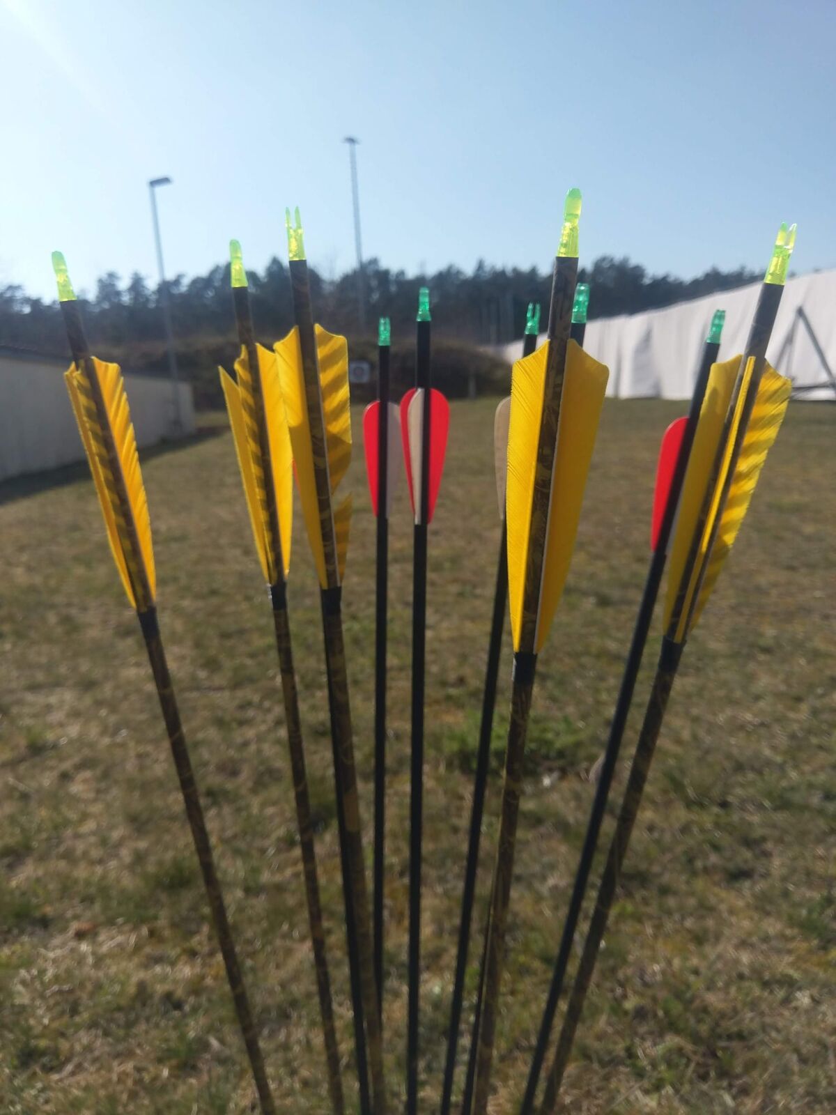 Pfeile im Ziel auf dem Bogenplatz
